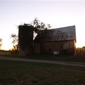 Eskew Farm