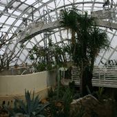 Myriad Botanical Gardens
