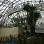 Myriad Botanical Gardens