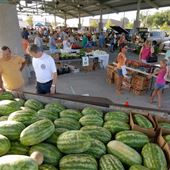 Edmond Festival Market Place
