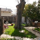 Mesta Park Historical Home