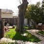 Mesta Park Historical Home