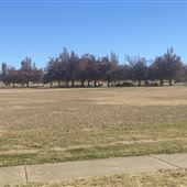 Eldon Lyon Park