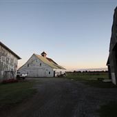 Groce Farm