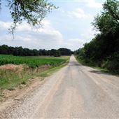Harrah Cornfields