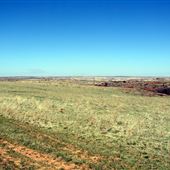 Roark Ranch