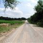 Harrah Cornfields