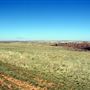 Roark Ranch
