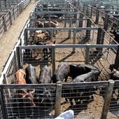 Oklahoma City Stockyards