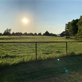 Red Buffalo Farm