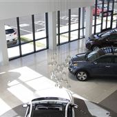 David Stanley Kia
