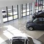 David Stanley Kia